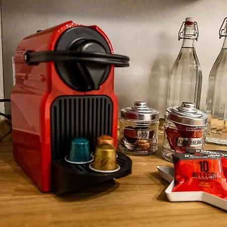 Acacia - Girasole Florencia